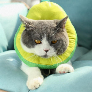 8 Cute Fruit Elizabeth Circle Pet Anti-bite Headgear Dog Cartoon Soft Kitten Collars Cone Adjustable Sterilization Shame Ring