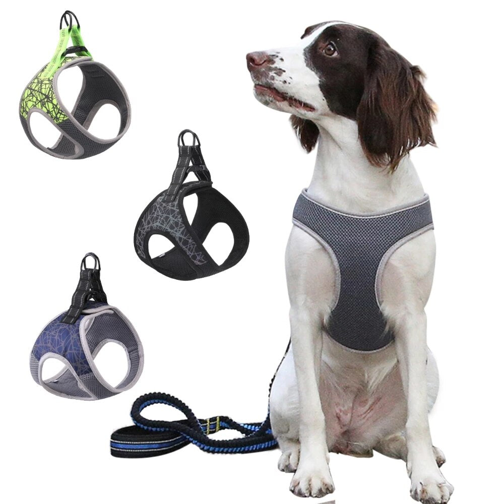 Reflective Cat Collar Training Collar Harness For Small Dog No Pull Dog Leads Chest Strap Pet Supplies Adjustable Dog Leash Vest